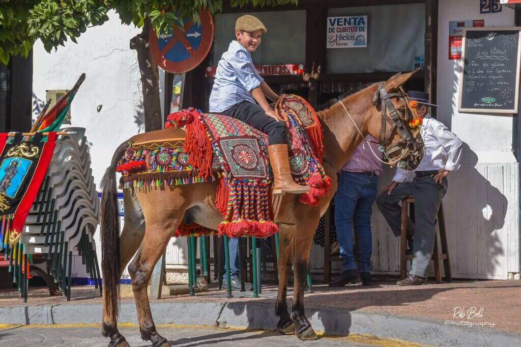 Torrox - San Roque 2022-Mirasol Bolig